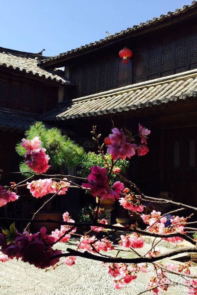 Lijiang Merry Inn מראה חיצוני תמונה